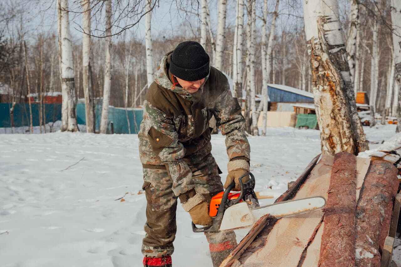 Clarendon, TX Tree Service Company